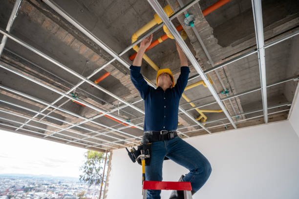 Best Emergency Plumber  in Las Flores, CA